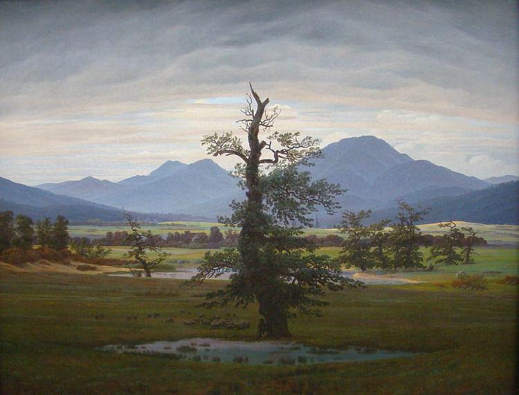 Caspar David Friedrich Landscape with Solitary Tree Sweden oil painting art